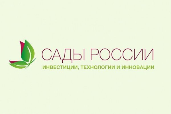 Кракен ссылка kraken