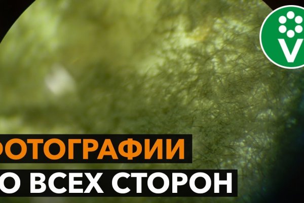 Блэкспрут зеркало кракен