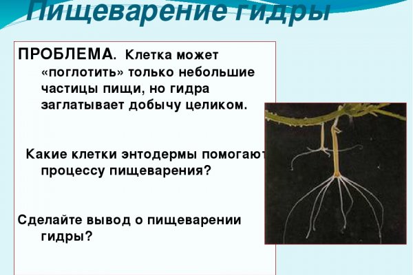Клирнет ссылка на зеркало маркетплейс кракен
