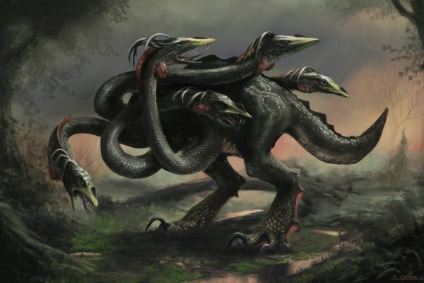 Kraken 18at