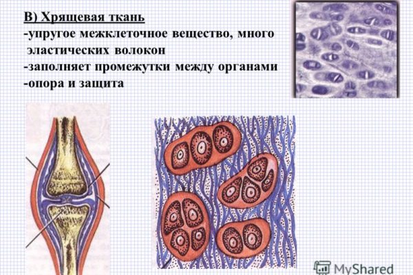 Кракен сайт официальный kraken clear com